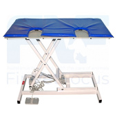 FVF-75 Veterinary ultrasound table with doors.